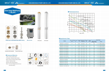 Load image into Gallery viewer, Puremint - Solar Pump 460 ft with 48VDC 4x250W Solar Panels Combo
