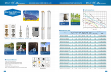 Load image into Gallery viewer, Puremint - Solar Pump 460 ft with 48VDC 4x250W Solar Panels Combo
