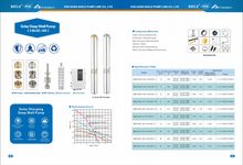 Load image into Gallery viewer, Puremint - Solar Pump 460 ft with 48VDC 4x250W Solar Panels Combo
