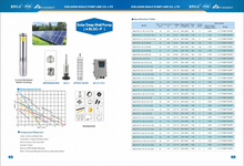 Load image into Gallery viewer, Puremint - Solar Pump 460 ft with 48VDC 4x250W Solar Panels Combo
