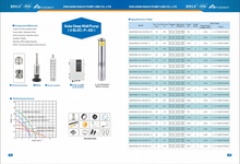 Load image into Gallery viewer, Puremint - Solar Pump 460 ft with 48VDC 4x250W Solar Panels Combo

