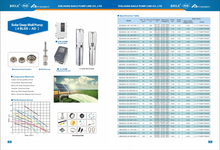 Load image into Gallery viewer, Puremint - Solar Pump 460 ft with 48VDC 4x250W Solar Panels Combo
