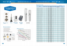 Load image into Gallery viewer, Puremint - Solar Pump 460 ft with 48VDC 4x250W Solar Panels Combo
